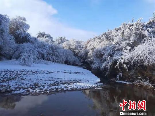甘肃肃南秋日落雪 满城银装素裹“披雪纱” 一场降雪肃南现银装素裹的秋日美景。 郎文瑞 摄