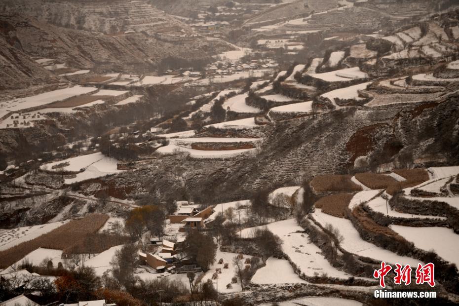 甘肃黄土塬雪后梯田如水墨画