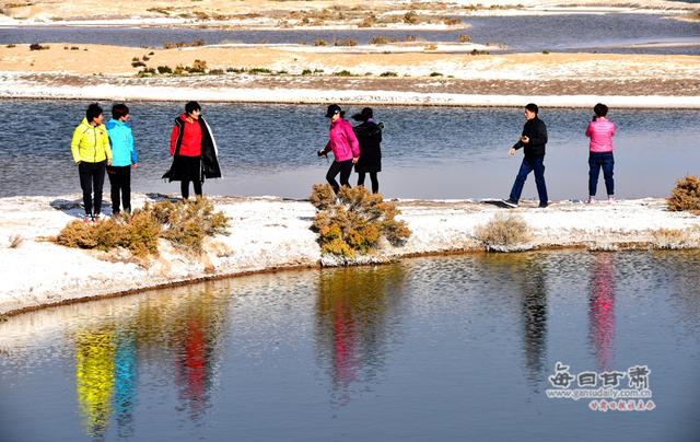 景泰县白墩子盐沼国家湿地公园美如画 游客一波又一波