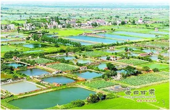 “三变”花开景泰川 景泰县农村“三变”改革试点综述