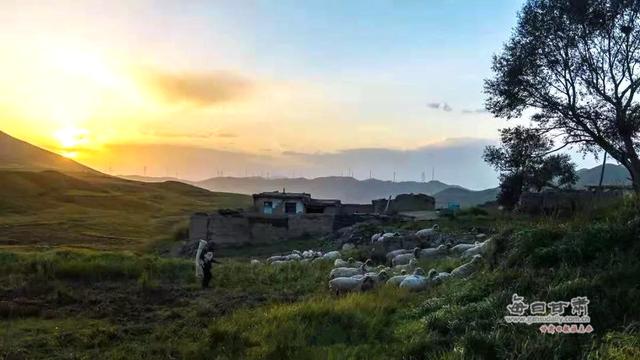 “三变”花开景泰川 景泰县农村“三变”改革试点综述