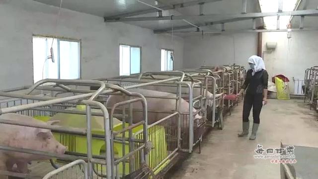 “三变”花开景泰川 景泰县农村“三变”改革试点综述