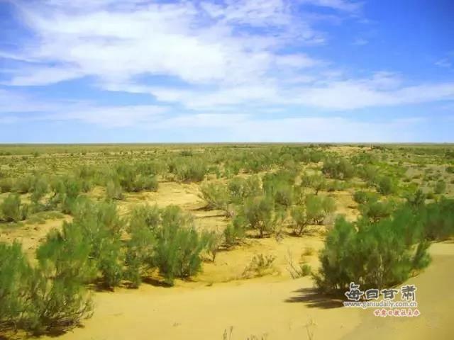 “三变”花开景泰川 景泰县农村“三变”改革试点综述