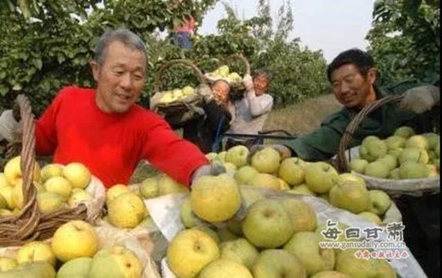 改革开放四十年,用数据看景泰从戈壁滩到 米粮川的巨变