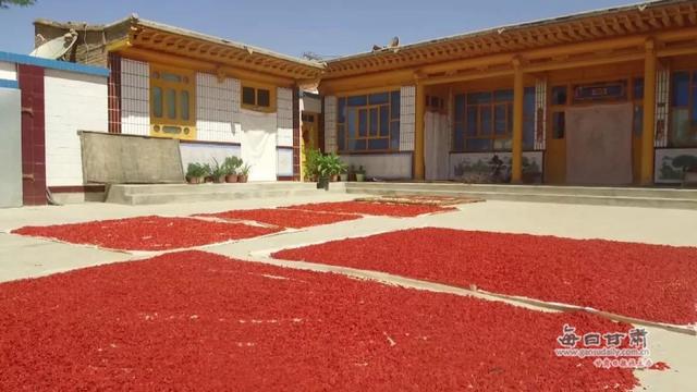 改革开放四十年,用数据看景泰从戈壁滩到 米粮川的巨变
