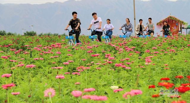 乡愁总关情 田园入画来 白银区推进乡村振兴战略纪实