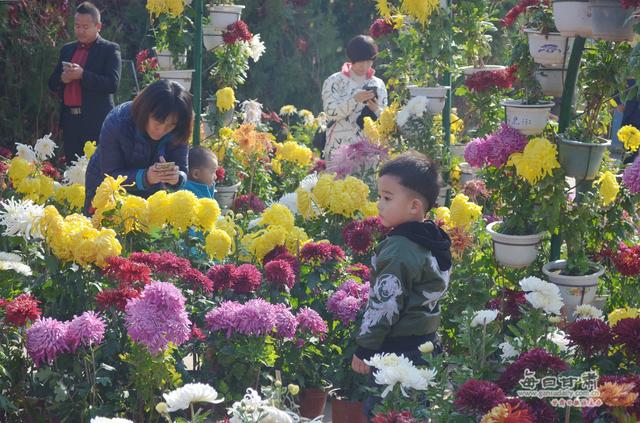 乡愁总关情 田园入画来 白银区推进乡村振兴战略纪实