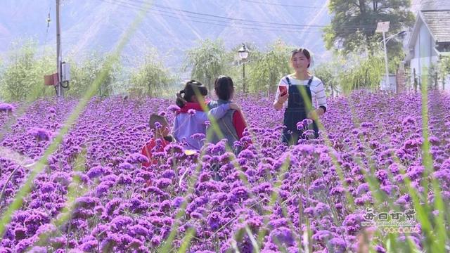 乡愁总关情 田园入画来 白银区推进乡村振兴战略纪实