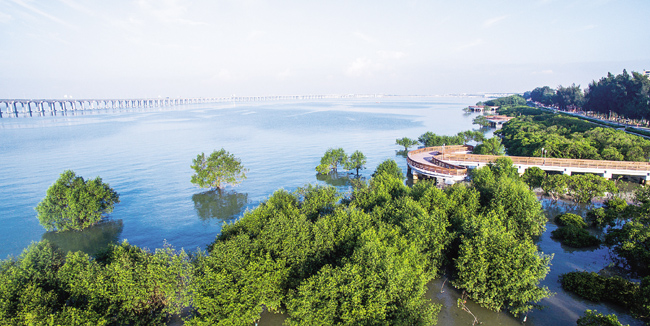 话改革 报业探寻突围路径 看特区 宝安扬帆再创