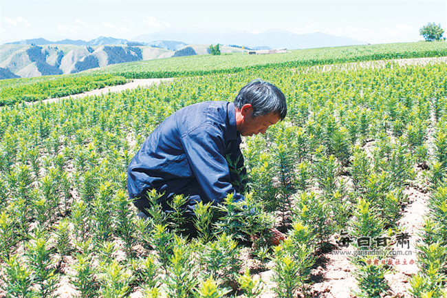 武威市gdp2017_武威市地图(3)