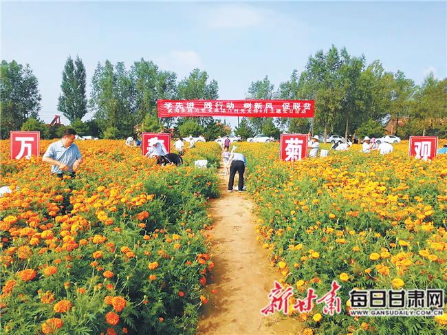 对标提质强根基--镇原县推进党支部建设标准化