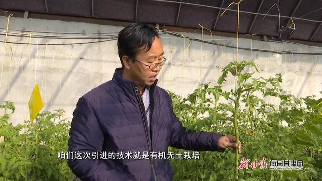 「改革开放40周年」靖远县:产业富民助推乡村振兴