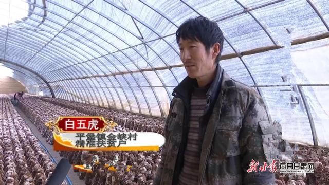 「改革开放40周年」靖远县:产业富民助推乡村振兴