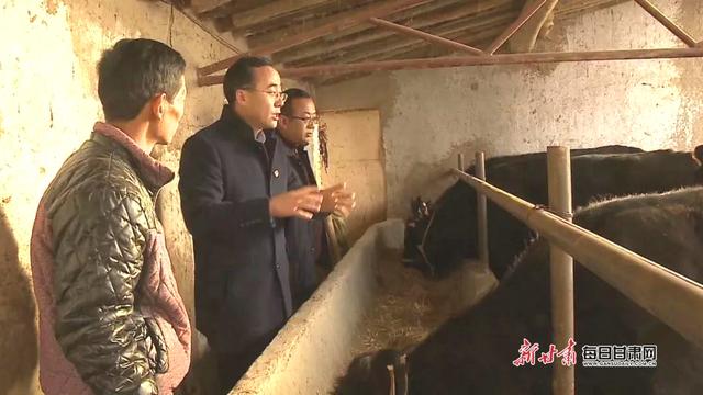 会宁:产业扶贫拔穷根 牵着牛鼻“犇”小康