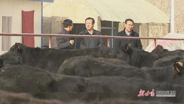 会宁:产业扶贫拔穷根 牵着牛鼻“犇”小康