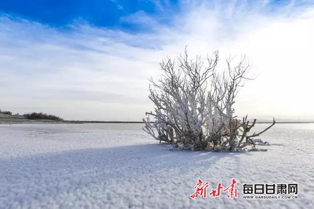 大美景泰：冬日里的白墩子盐沼湿地，美不胜收