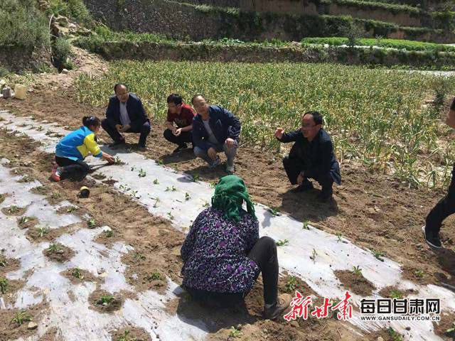 甘肃省农科院创新科技帮扶模式助力精准脱贫