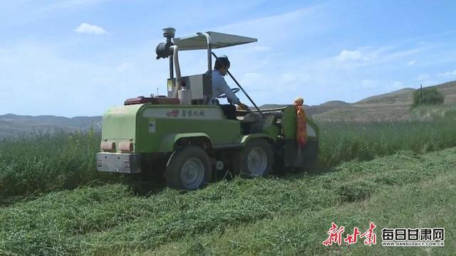 人均收入1500元 草畜产业已成为会宁县富民增收和带动县域经济发展的支柱产业
