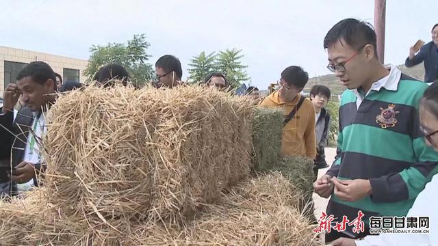 人均收入1500元 草畜产业已成为会宁县富民增收和带动县域经济发展的支柱产业