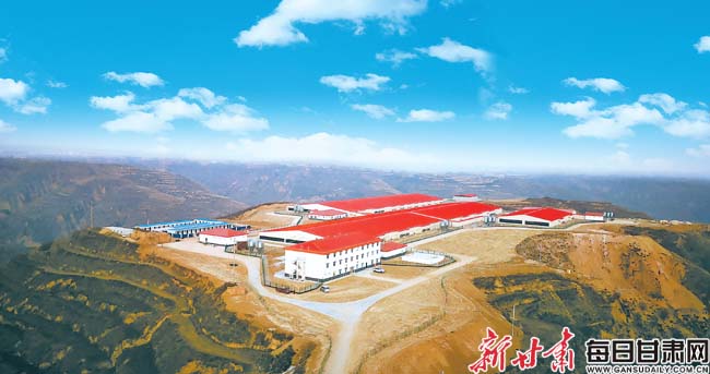 庆阳 项目建设打造发展新引擎