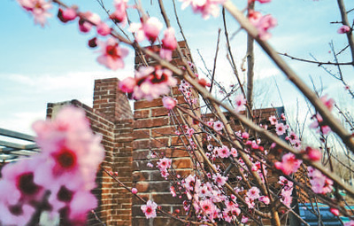 北京世园会天津园--诠释开放共融城市特色(北京