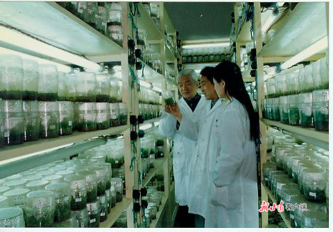 郑国?：中国细胞生物学奠基人