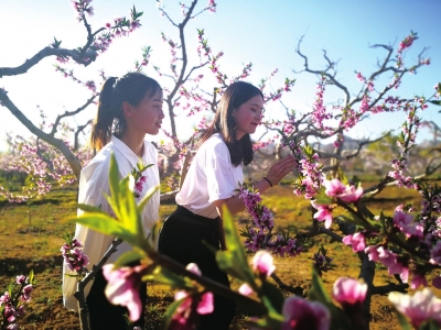 桃花迎春约会兰州 第三十六届兰州桃花旅游节开幕