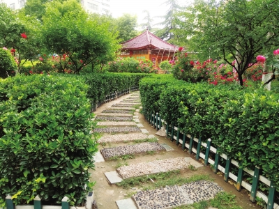 今年兰州市城关区大力改善生态环境 空间增绿 路桥添花 景...