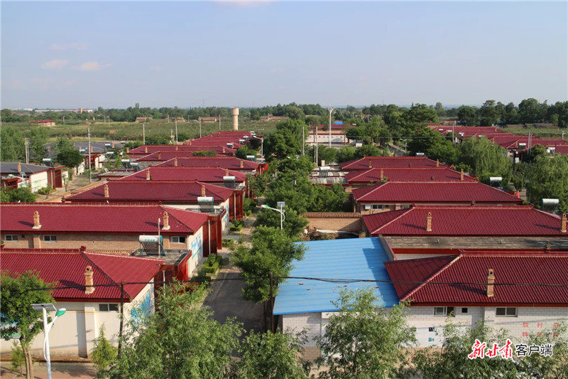 把实绩写在民心上 ――追记西峰区什社乡副乡长李志霖