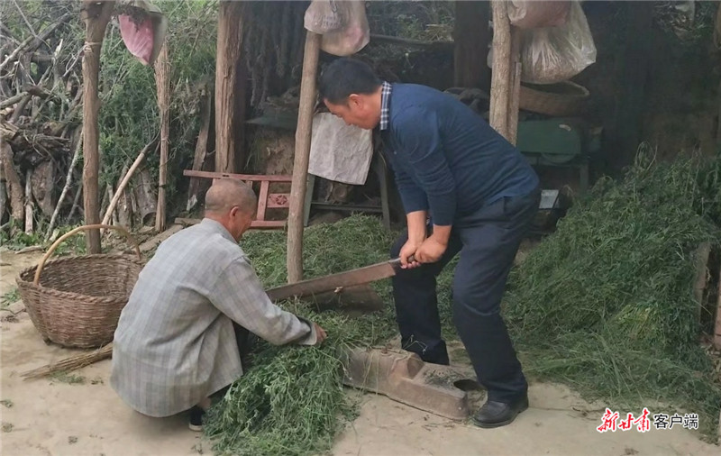 把实绩写在民心上 ――追记西峰区什社乡副乡长李志霖