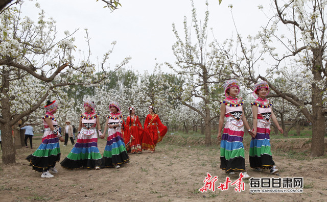 民乐县梨花节开幕 以花为媒唱响乡村振兴开篇曲（图）