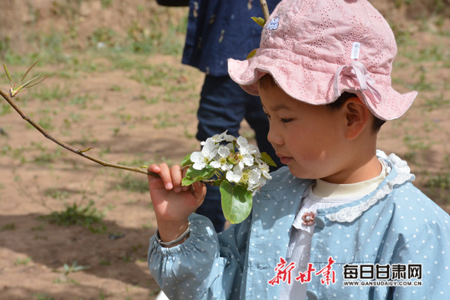 民乐县梨花节开幕 以花为媒唱响乡村振兴开篇曲（图）