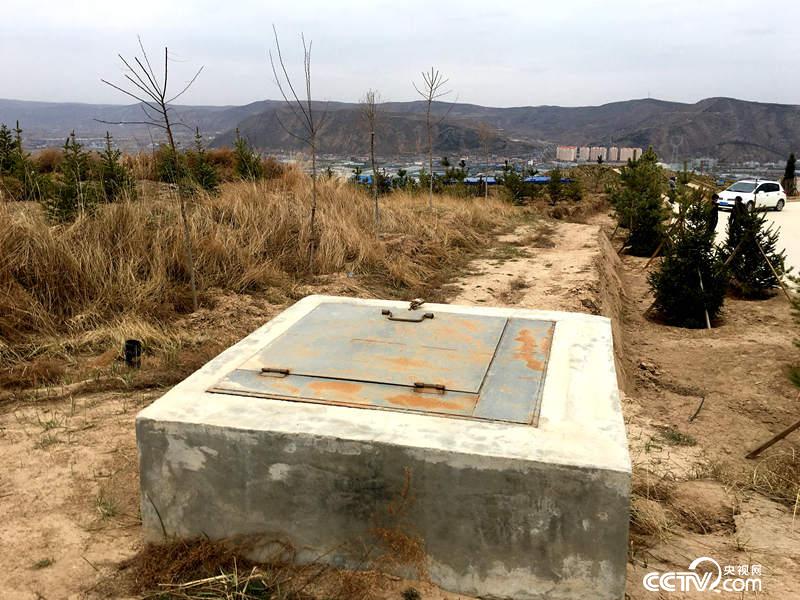 山顶建立的高位水池,方便及时浇水。