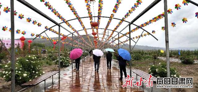 第二届会宁甘沟驿乡村生态旅游节开幕 250万株牡丹花开迎客来