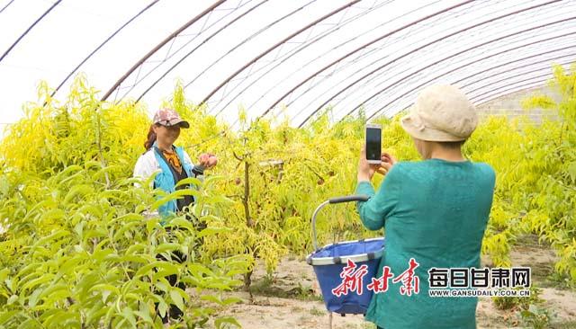 图为,游客在温室内拍照副本.jpg 图为,游客在温室内拍照副本.jpg