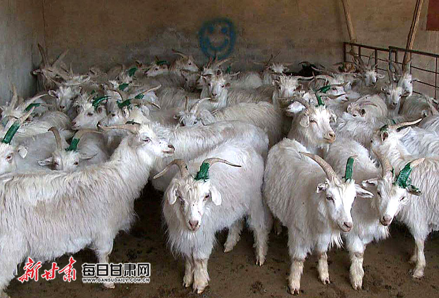 微信图片_20190522171350.jpg