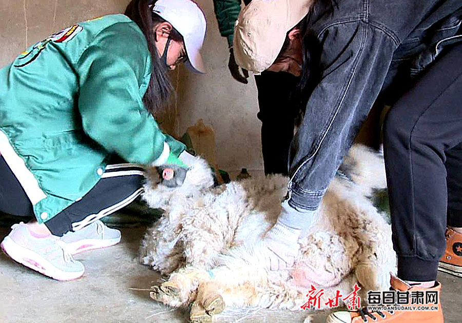 微信图片_20190522171426.jpg