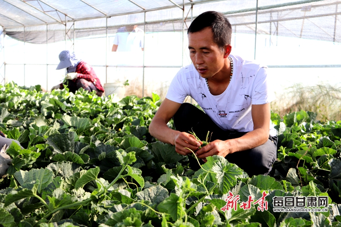 微信图片_20190605145707.jpg 微信图片_20190605145707.jpg