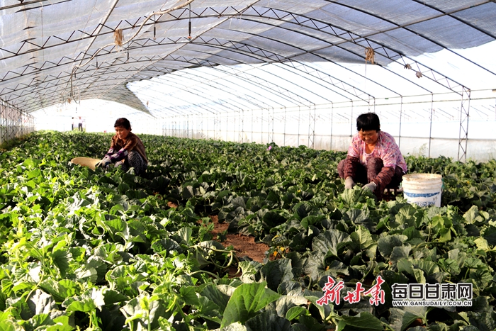 微信图片_20190605145712.jpg 微信图片_20190605145712.jpg