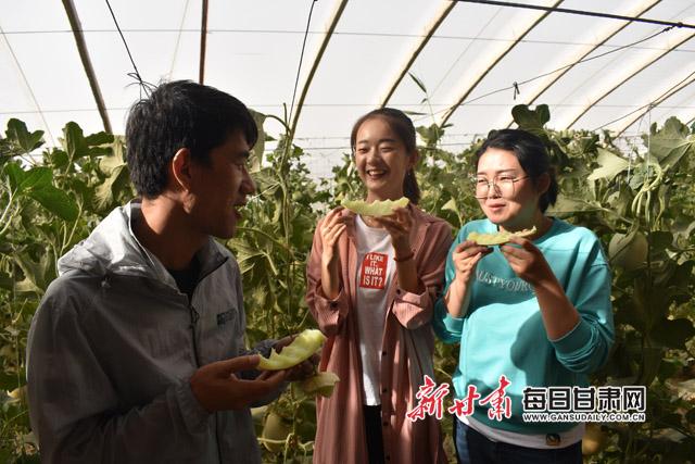 图为,市民在温室内品尝蜜瓜副本.jpg 图为,市民在温室内品尝蜜瓜副本.jpg