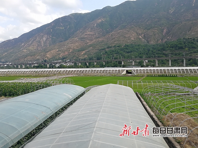 微信图片_20190613233557.jpg 微信图片_20190613233557.jpg