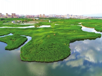 【图片新闻】无人机航拍张掖国家湿地公园