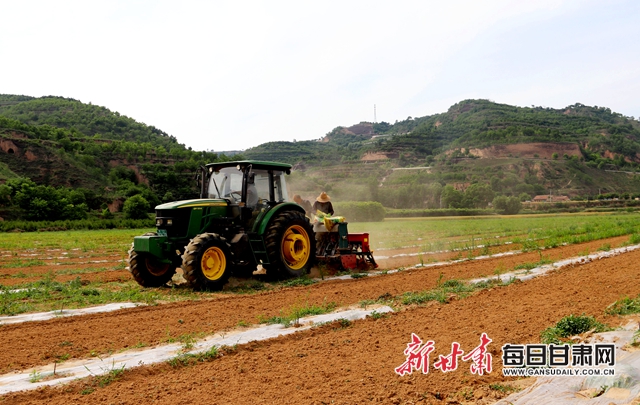 陇兴原合作社药材种植现场.JPG 陇兴原合作社药材种植现场.JPG