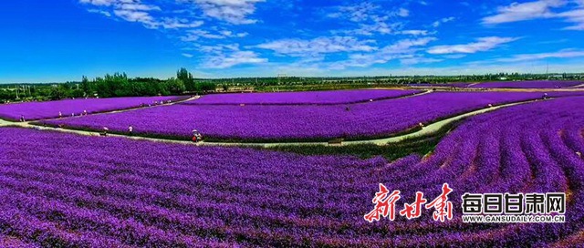 金昌市加强污染防治深入推进生态文明建设