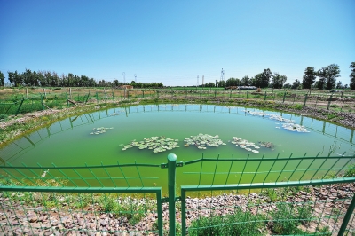 从旱厕到沼气厕再到环保冲水马桶 金昌村民的“厕所革命史”