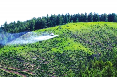 肃南裕固族自治县首次用飞机防病害