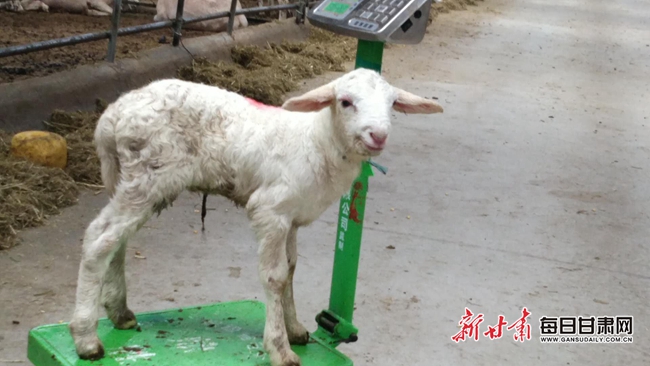 微信图片_20190622123912.jpg 微信图片_20190622123912.jpg