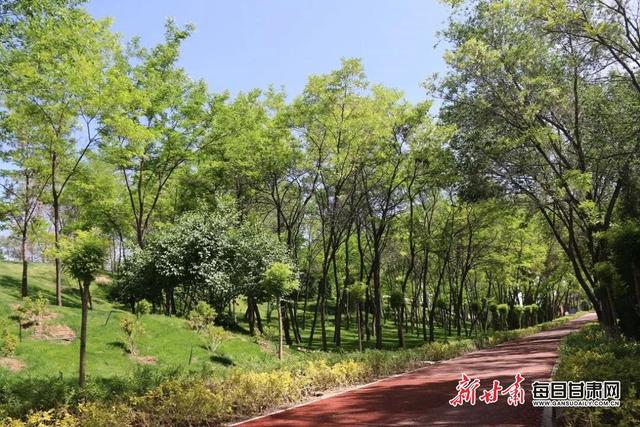 白银区推出“创城套餐”,不断增强群众获得感幸福感