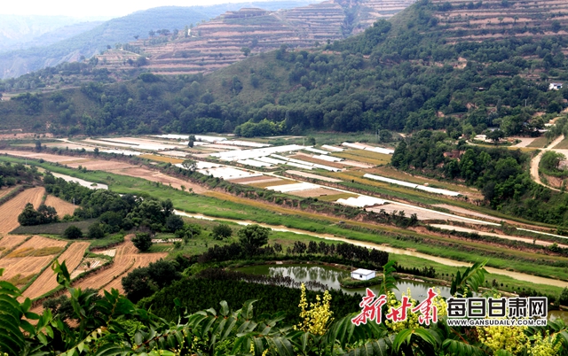 庆阳 西峰区    调优 绿色产业蓬勃发展   夏日,走进原镇芦子渠
