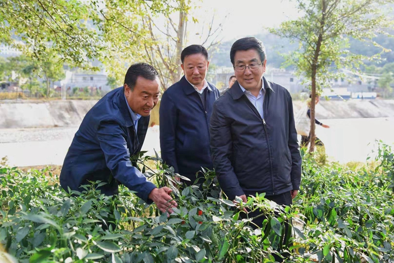 省委书记,省人大常委会主任林铎深入陇南市武都区,西和县,礼县调研